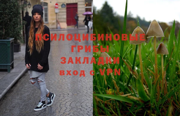 марки lsd Надым