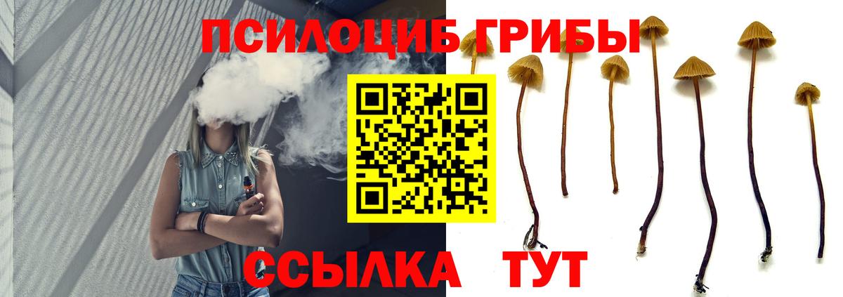 Псилоцибиновые грибы GOLDEN TEACHER  Вход с VPN  Нальчик 
